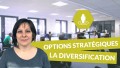 Les principales options stratégiques des entreprises : la diversification
